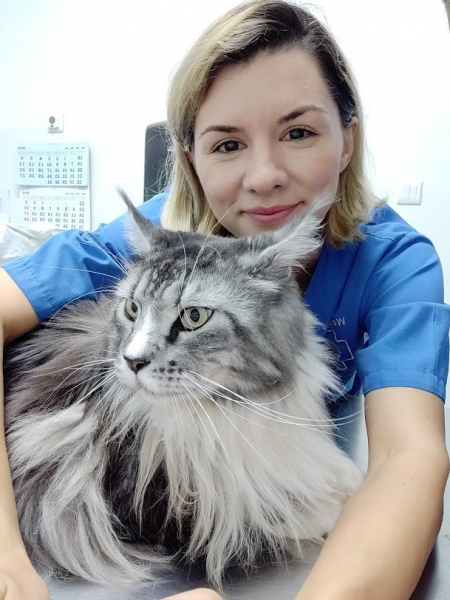 Veterinary Westernvet Corbeanca